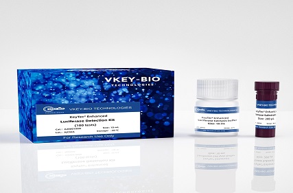 Best Practices for Implementing Kinase Assays in Research