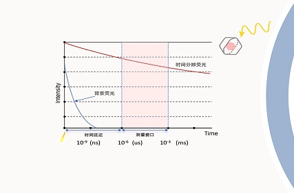 Traditional vs. Time-Resolved Fluorescence: A Comparative Analysis for Modern Drug Discovery