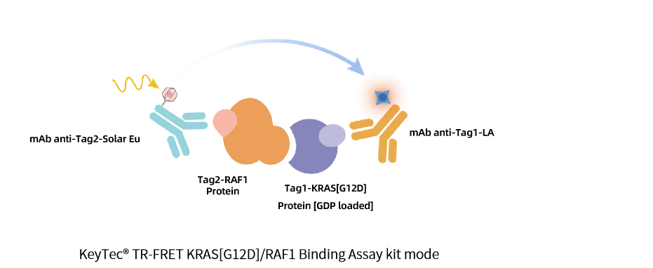 EN_A1090002_2.1.png