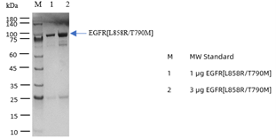 P1HI0038_2.3.png