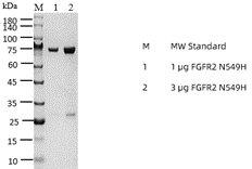 P1HI0051_2.3.png