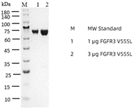 P1HI0059_2.3.png