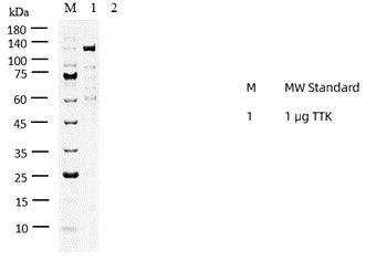P1HI0096_2.3.png