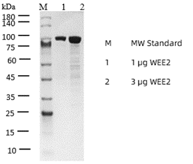 P1HI0099_2.3.png