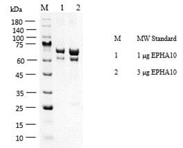 P1HI0125_2.3.png