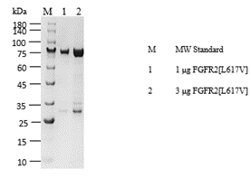P1HI0140_2.3.png