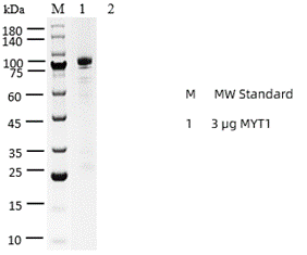 P1HI0157_2.3.png