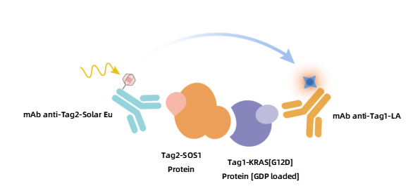 Schematic_Diagram.png