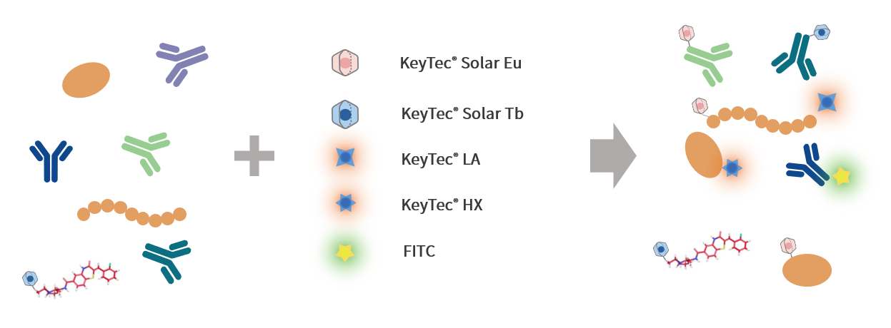 comprehensive_custom_labeling_services.png