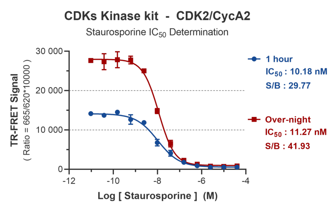 CDK2_Assay_Data.png