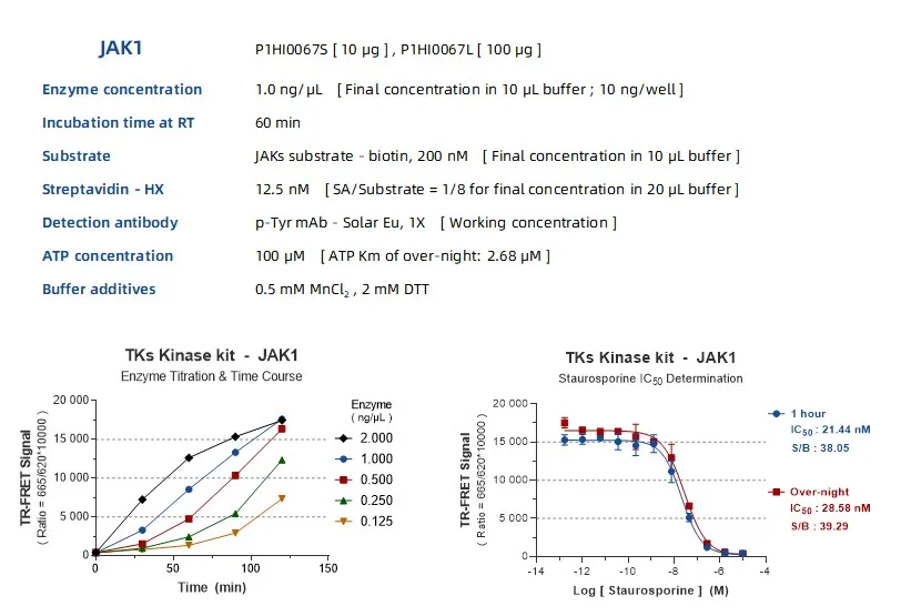KeyTec® TR-FRET JAKs substrate - biotin A1080016S