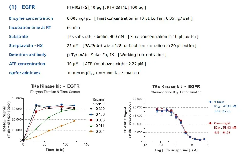 KeyTec® TR-FRET TKs kinase kit A1080001L