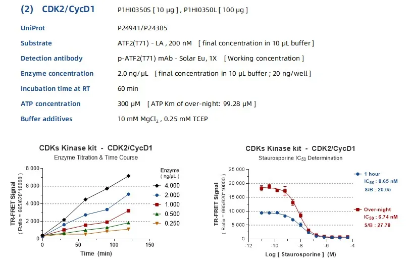 KeyTec® TR-FRET CDKs kinase kit - ATF2(T71) substrate A1080007L