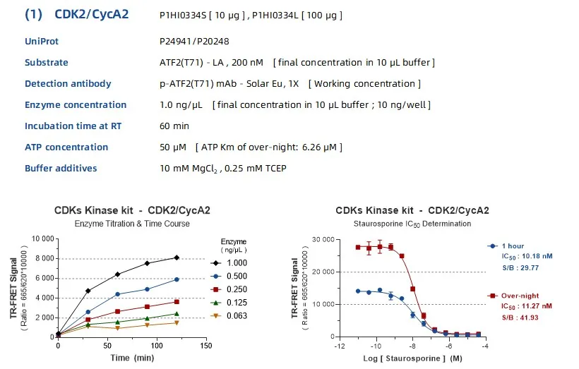 KeyTec® TR-FRET CDKs kinase kit - ATF2(T71) substrate A1080007S