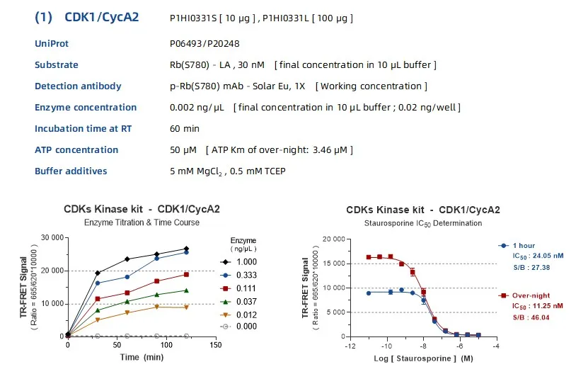 KeyTec® TR-FRET  CDKs kinase kit - Rb(S780) substrate A1080006L