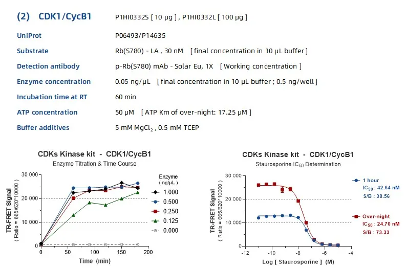 KeyTec® TR-FRET  CDKs kinase kit - Rb(S780) substrate A1080006B
