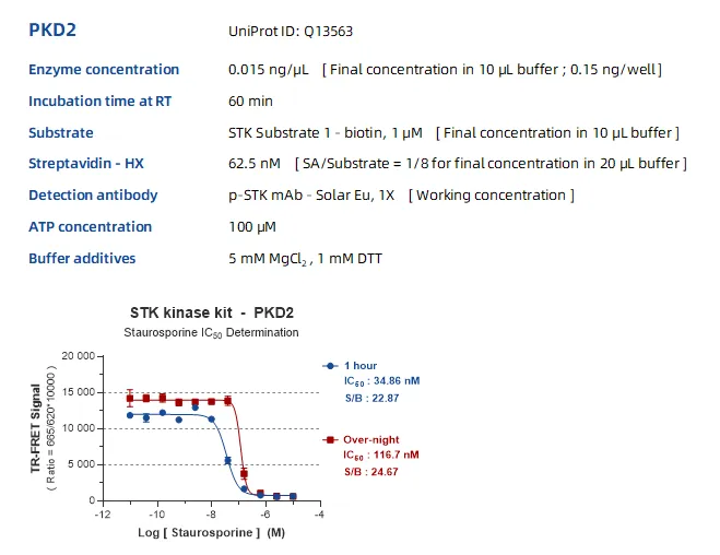 KeyTec® TR-FRET STK S1 kinase kit A1080003S