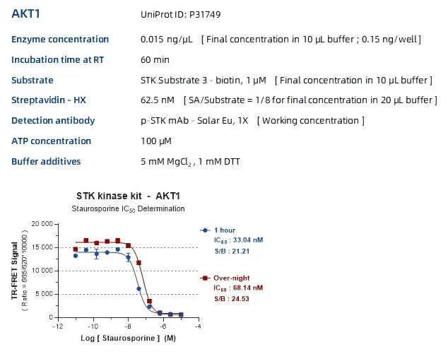 KeyTec® TR-FRET STK S3 kinase kit A1080005S