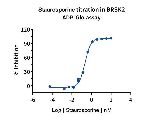 KeyTec® BRSK2, N-GST; C-StrepII P1HI0171S