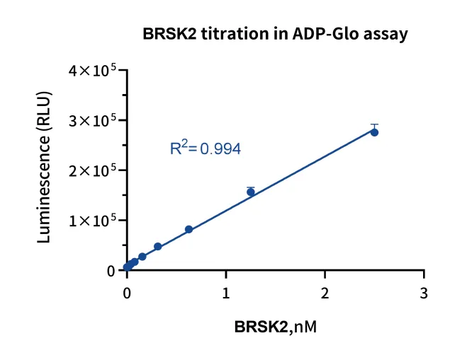 KeyTec® BRSK2, N-GST; C-StrepII P1HI0171S