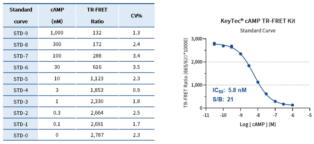 Standard_Curve_Results_(Classic_Kit).png