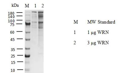 KeyTec® WRN, N-His; C-Flag P4HI0033S