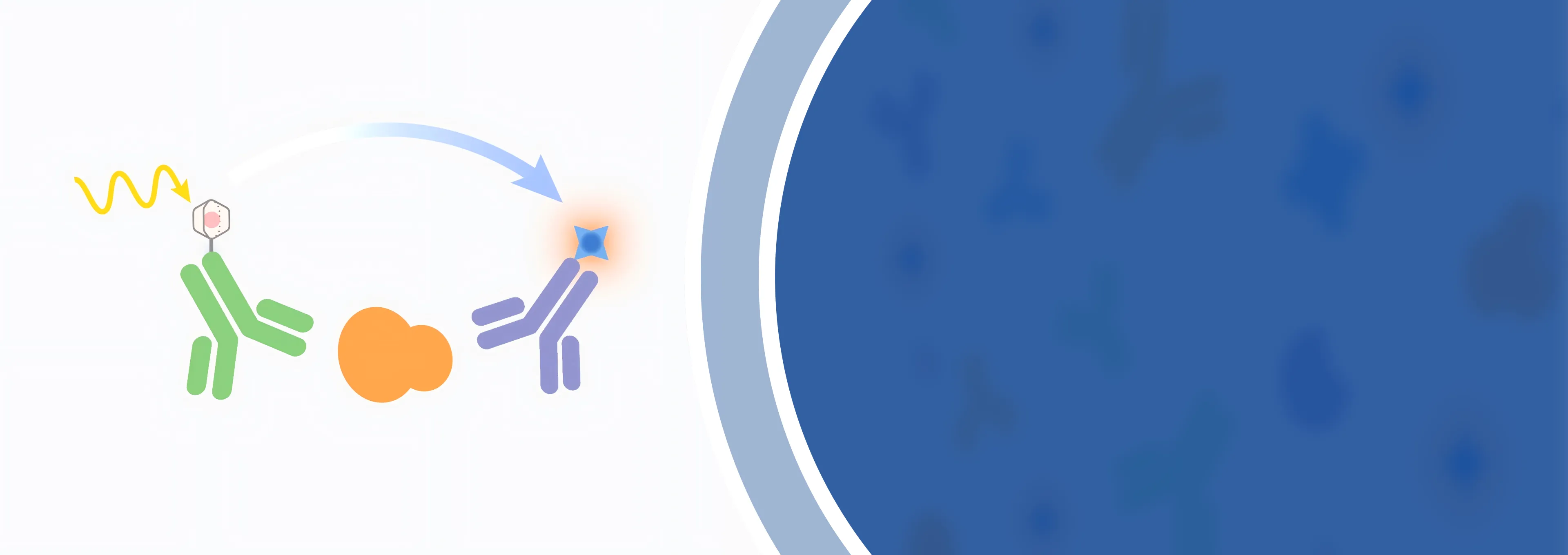 Cytokine Detection