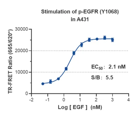 KeyTec® TR-FRET Phospho-EGFR (Y1068) Kit A1060121D