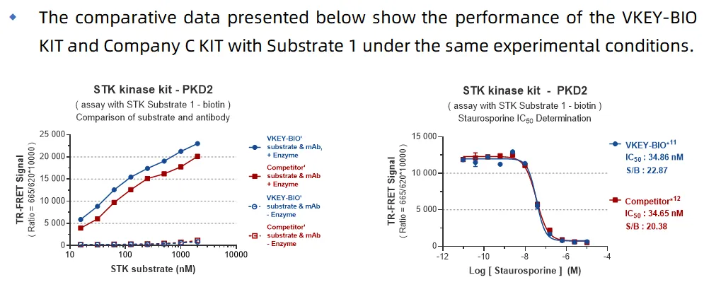 KeyTec® TR-FRET STK discovery kinase kit A1080002S