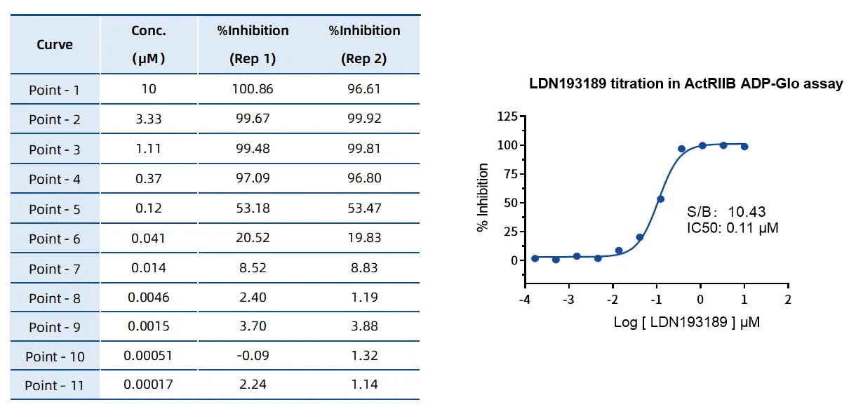 KeyTec® ActRIIB kinase kit A1080019S