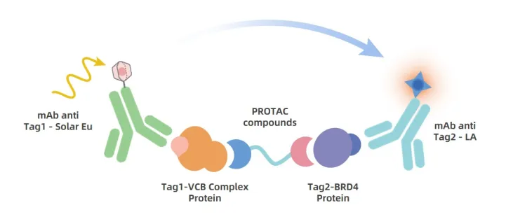 KeyTec® TR-FRET  BRD4 / VHL PROTAC Binding Assay kit A1090012D