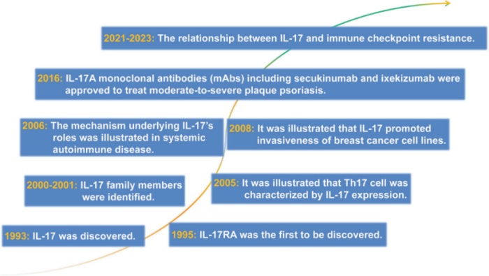 unlocking-new-tools-for-il-17-family-drug01.jpg