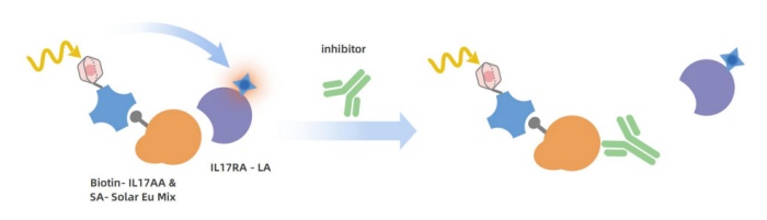 unlocking-new-tools-for-il-17-family-drug04.jpg unlocking-new-tools-for-il-17-family-drug04.jpg