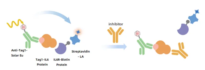 KeyTec® TR-FRET Human IL6/IL6R Binding Assay Kit A1070104D
